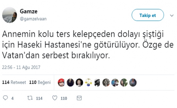 Gülsüm Elvan'ın gözaltına alınmasına sosyal medya tepkileri 4