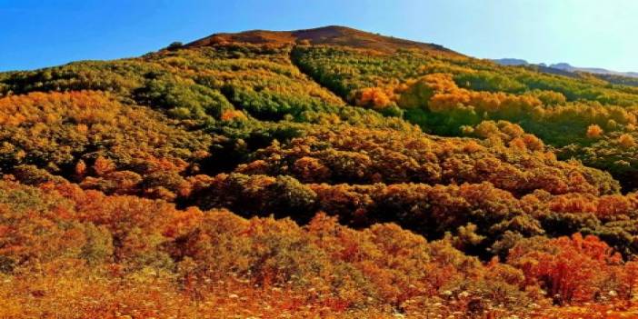 Pülümür ve Munzur'da sonbahar da renk şöleni