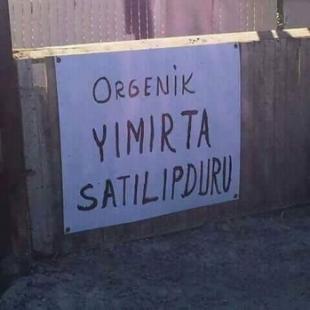 Fotoğrafları görenler kahkaha attı 12