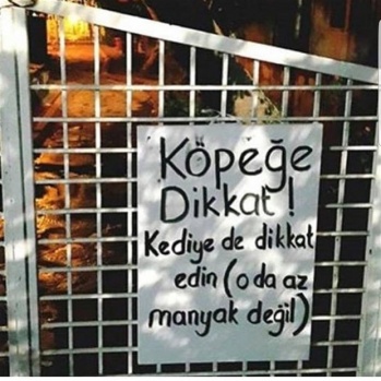 Fotoğrafları görenler kahkaha attı 18