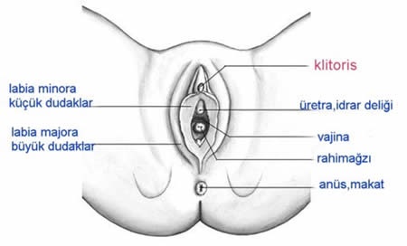 Sex hakkında 'Keşke önceden bilseydim' diyeceğiniz şeyler 20
