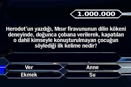 1 Milyonluk 11 final sorusu 23