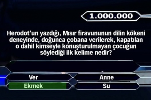 1 Milyonluk 11 final sorusu 24