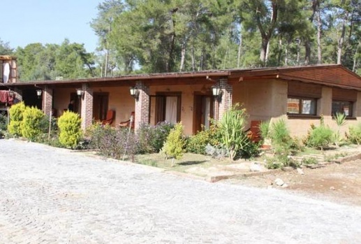 Yılmaz Erdoğan sanat köyü kurdu... 13