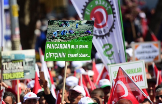 Vatan Mitingi 19