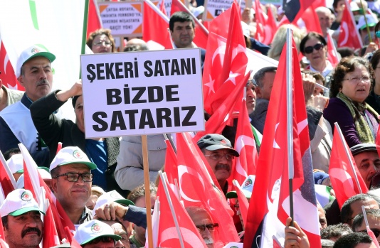 Vatan Mitingi 3