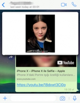 Whatsapp bombayı patlattı! İşte yeni özellik 12
