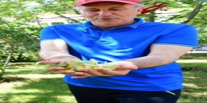 Muharrem İnce Arefe günü babaevinde