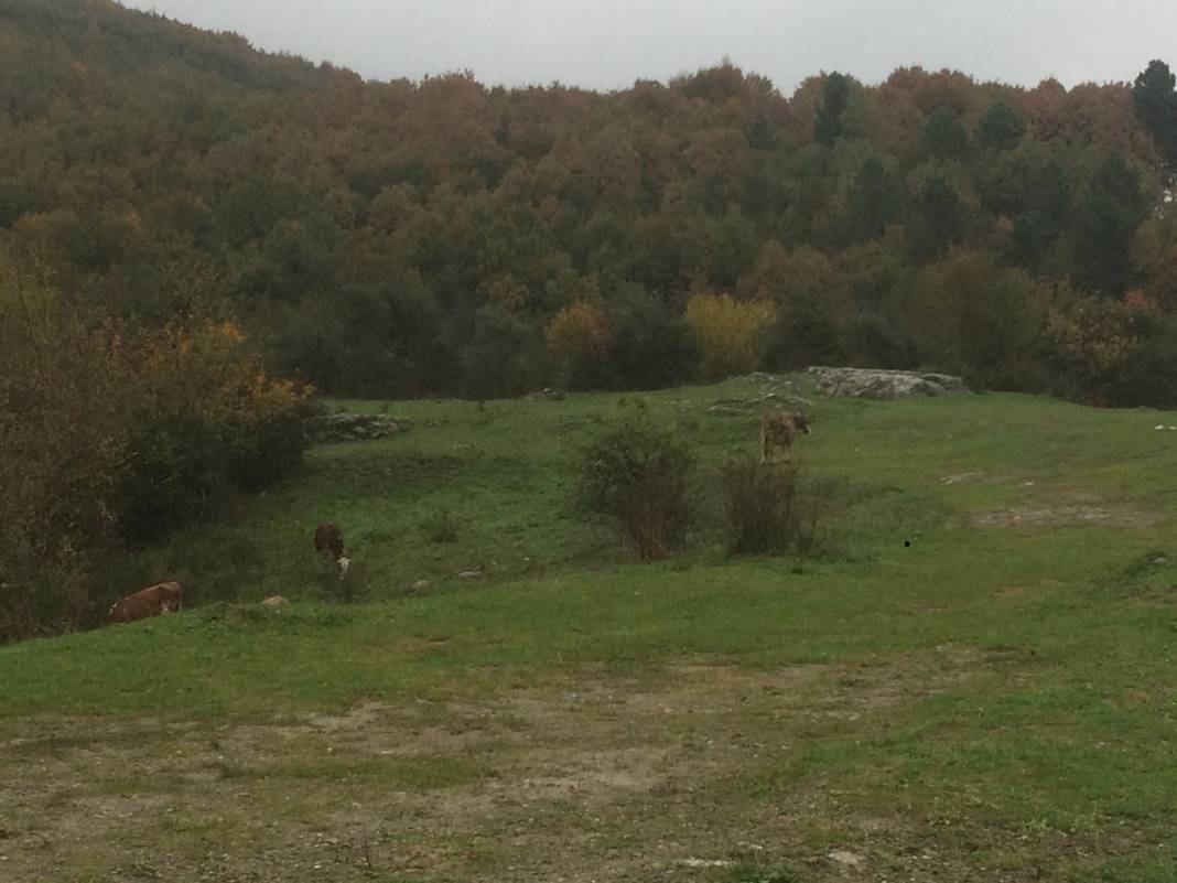 Zonguldak Ereğli'den sonbahar kareleri 1