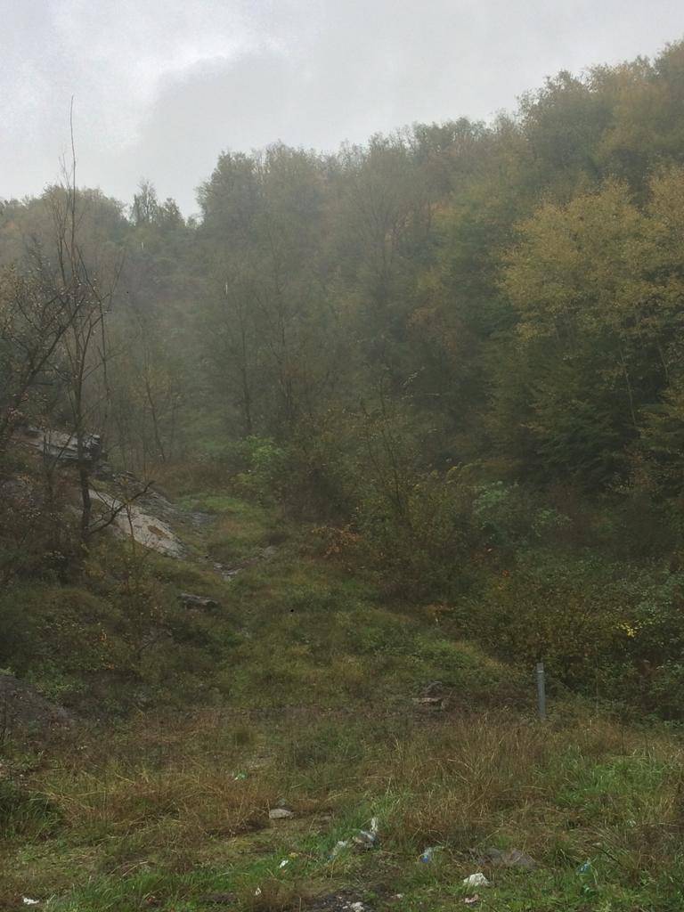 Zonguldak Ereğli'den sonbahar kareleri 6