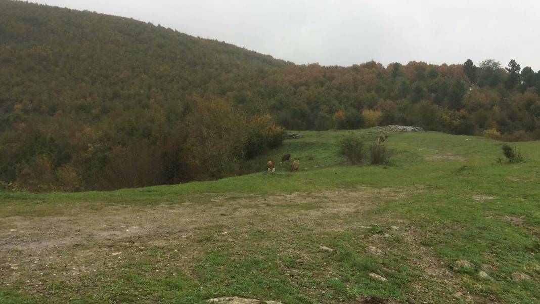 Zonguldak Ereğli'den sonbahar kareleri 9