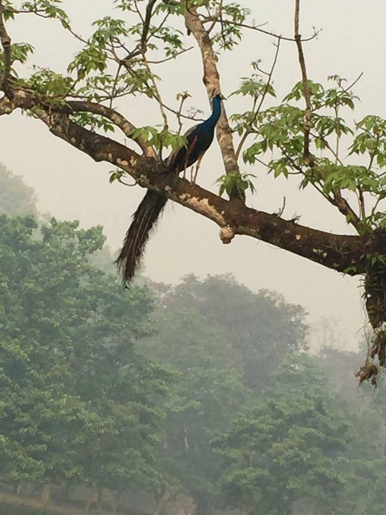 Nepal'den kareler 1