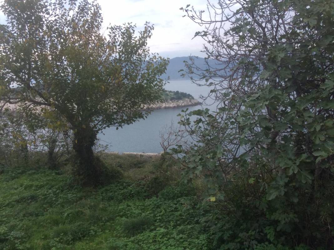 Mavilikleri ve yeşil doğasıyla Amasra 1