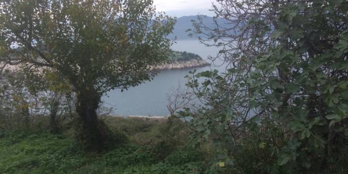 Mavilikleri ve yeşil doğasıyla Amasra