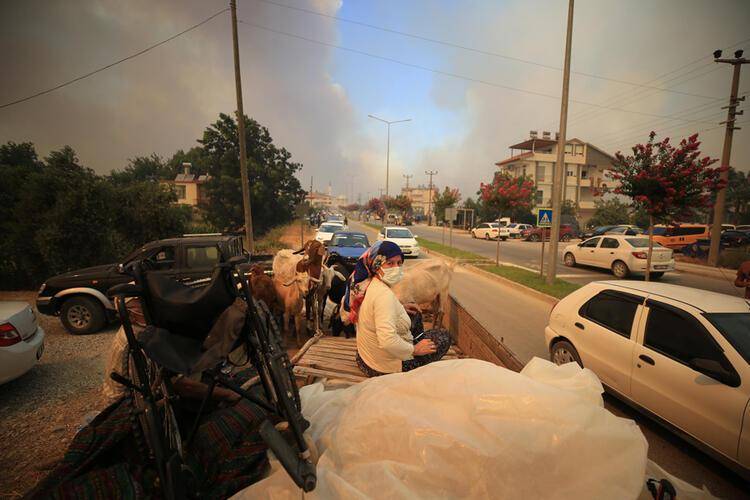 Alevler içinde kalan Manavgat'tan yürek burkan kareler... 9