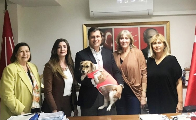 HAYTAP CHP İzmir'i ziyaret etti