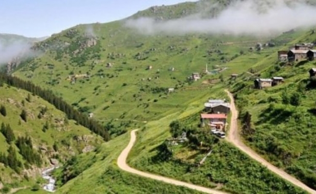 'Yeşil Yol' da korkunç iddia