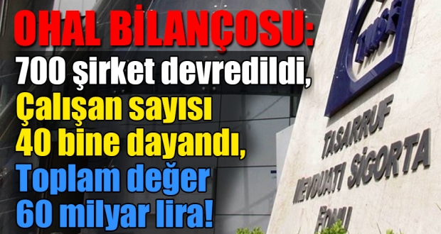 TMSF'nin OHAL bilançosu: 700 şirket devredildi, toplam değer 60 milyar lira