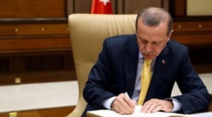 Erdoğan'a büyük yetki