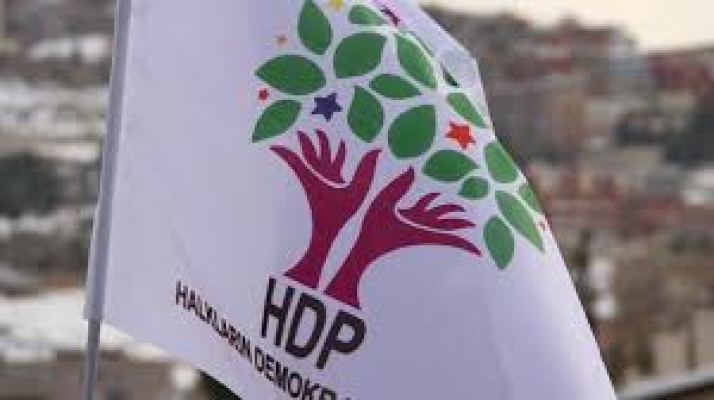 HDP il binasına operasyon