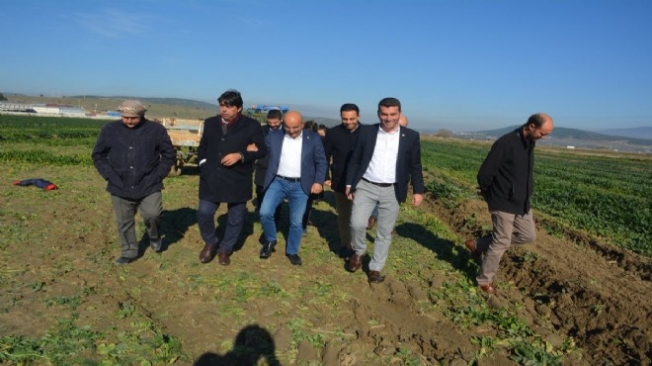 CHP'li Polat tarlada
