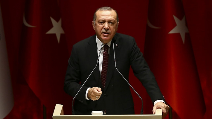 Erdoğan'ın atadığı isimlere diplomatik zırh