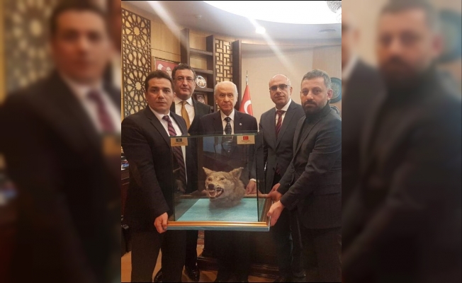 Bahçeli'ye kurt kafası hediye edildi