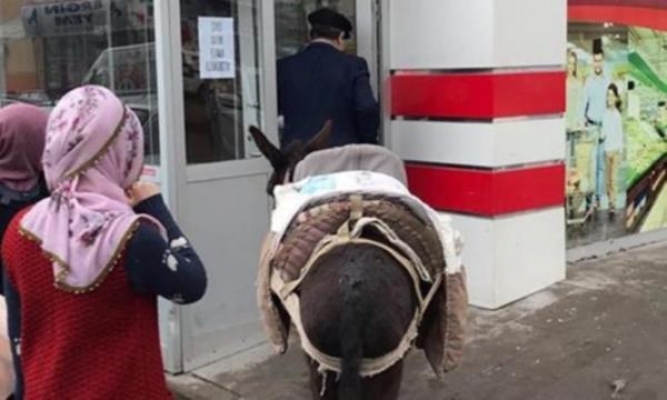 Ücretli poşeti protesto etti... Markete eşekle girdi