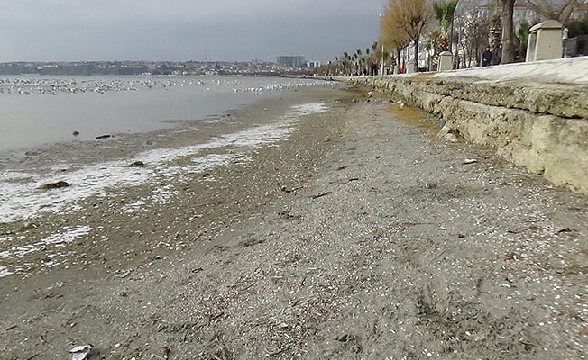 İstanbul'da deniz 50 metre çekildi