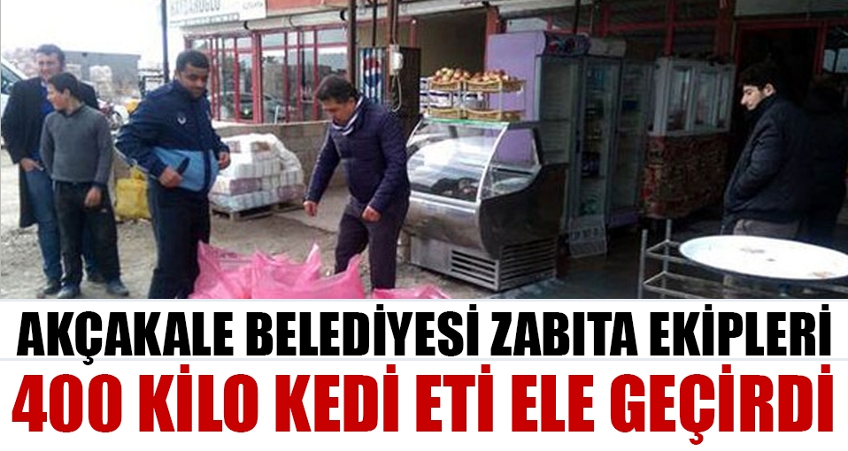 Lokantada 400 kilo kedi eti ele geçirildi!
