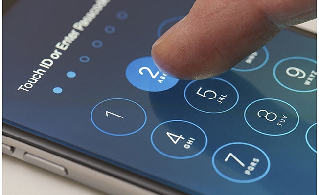 Telefonun şifresini söylemeyen eşini benzinle yakarak öldürdü
