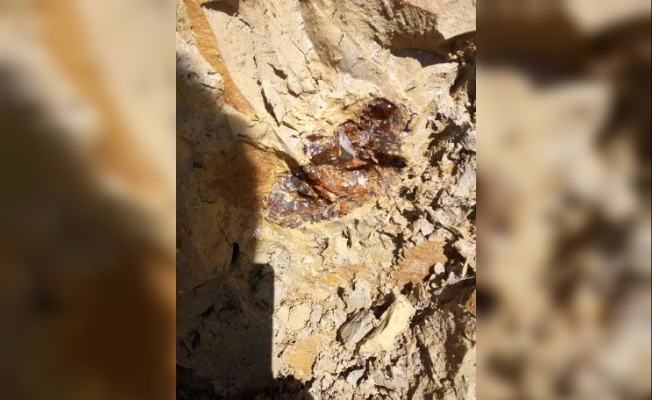 Bayburt'ta keşfedildi: Birçok ülke sıraya girdi