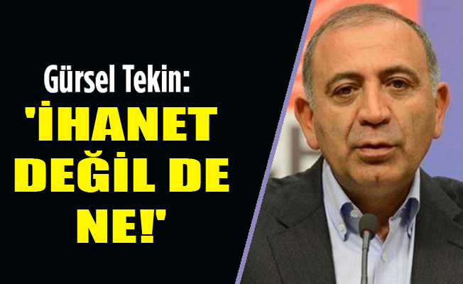 Gürsel Tekin: Bunu adı ihanet değil ise nedir?