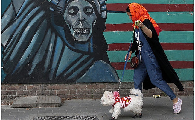 Tahran'da köpek gezdirmek yasaklandı