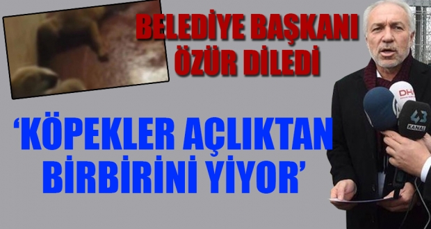 Kütahya'da hayvanseverleri ayağa kaldıran korkunç görüntü!