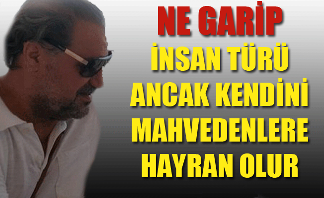 Siyasetçi mi? Anaokulu mu?