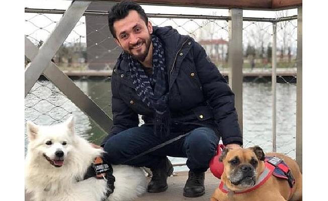 Kıyak yapılan yandaşların hakkını gasp ettiği bir can daha yitti: Köpeklerime iyi bakın...