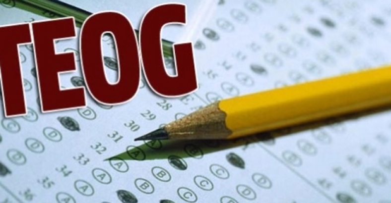TEOG sınav sonuçları açıklandı!