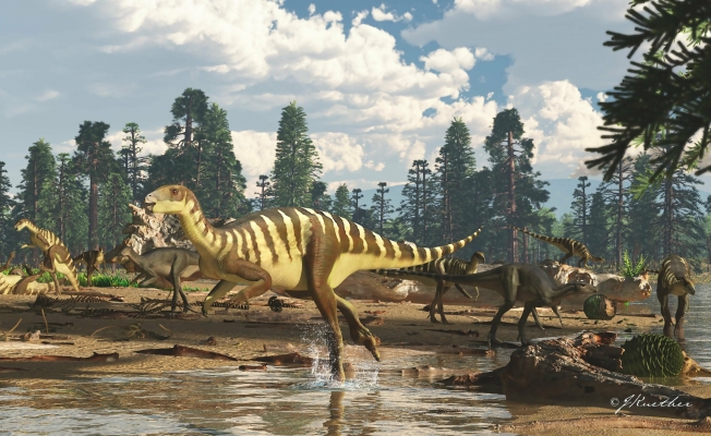 Yeni dinozor türü keşfedildi