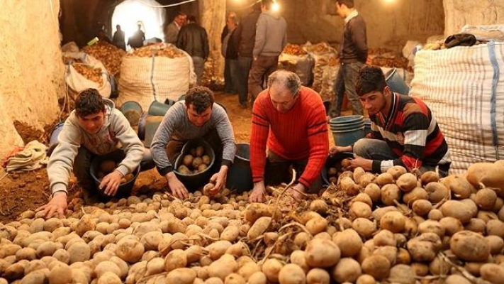 Patates üreticilerinden 'sıfır gümrük' tepkisi