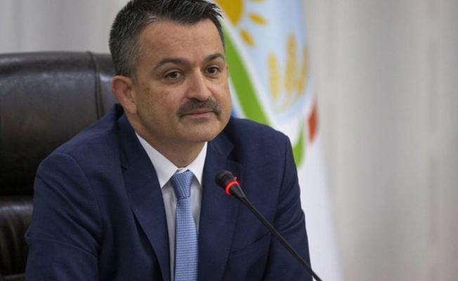 Patates üreticisine danışmanlık yapan Pakdemirli: Çocuğumun rızkı için çalışıyorum