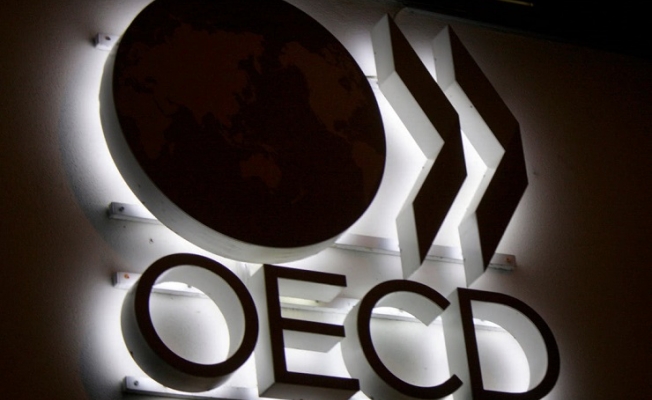 OECD, Türkiye'ye Ekim ayına kadar mühlet verdi