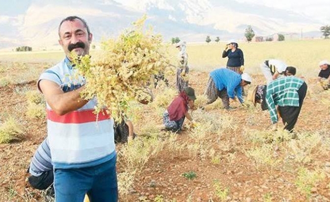Bir parti daha ‘Komünist Başkan’ı destekleme kararı aldı