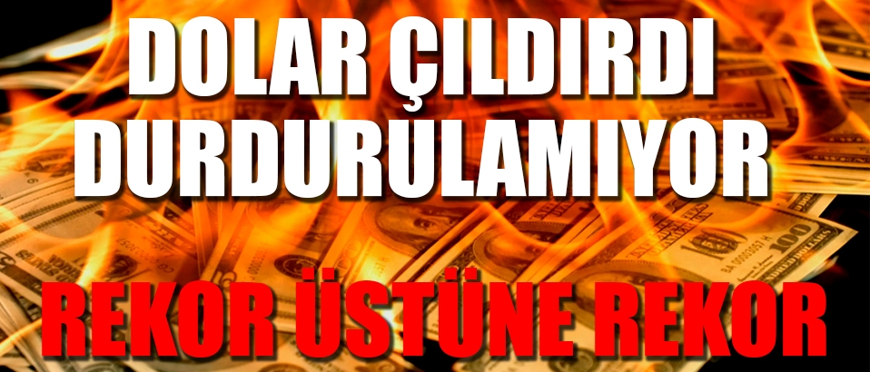 Dolar ve Euro'da yeni tarihi zirve