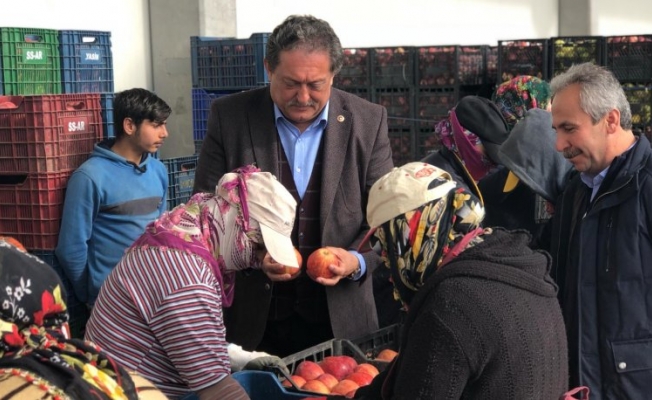 CHP’li Özer: Elma ihracatı durma noktasında