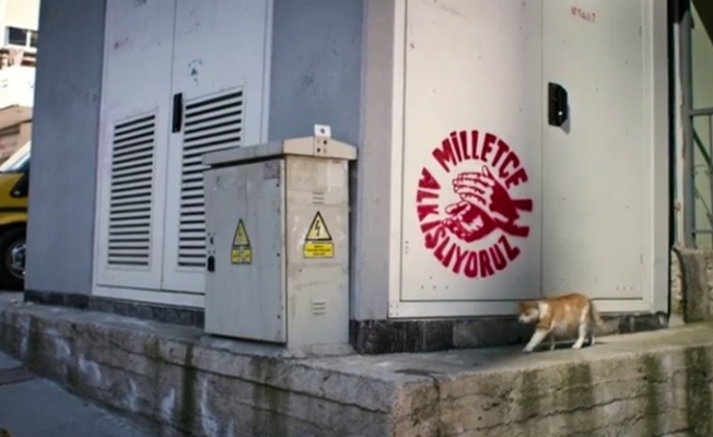 Bakanlık açıkladı: Elektrik için önlemler alındı