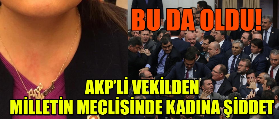 'Yere batsın saraylarınız yere batsın başkanlığınız yere batsın hırsınız!'