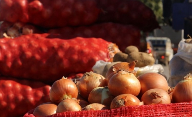 Suriye'den ithal ettiğimiz patates ve soğanda büyük tehlike!