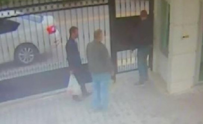 Ankara'daki köpek katliamında yeni gelişme