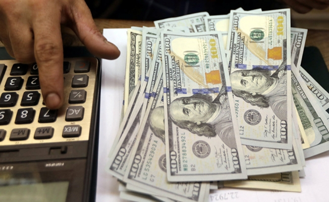İşte dolar tahmini! Almanlar açıkladı